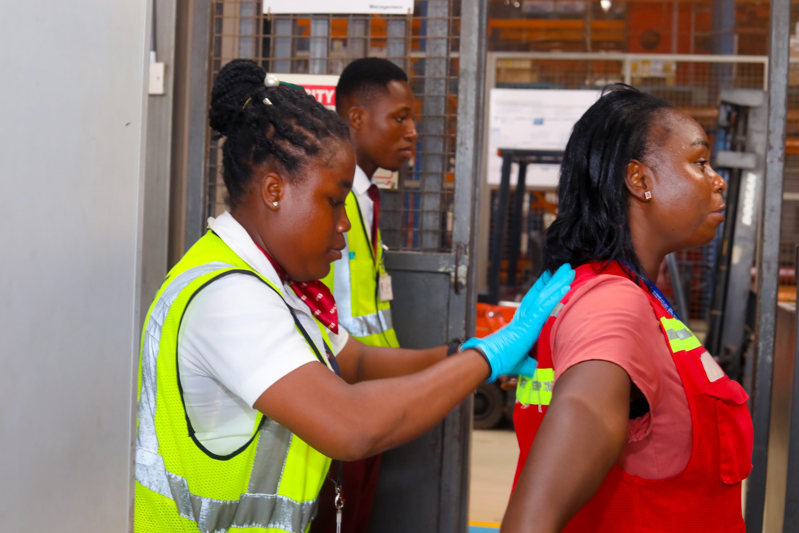 Airports and airlines security